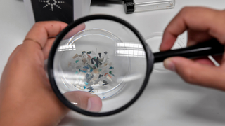 The Seafloor Is Absolutely Littered in Microplastic